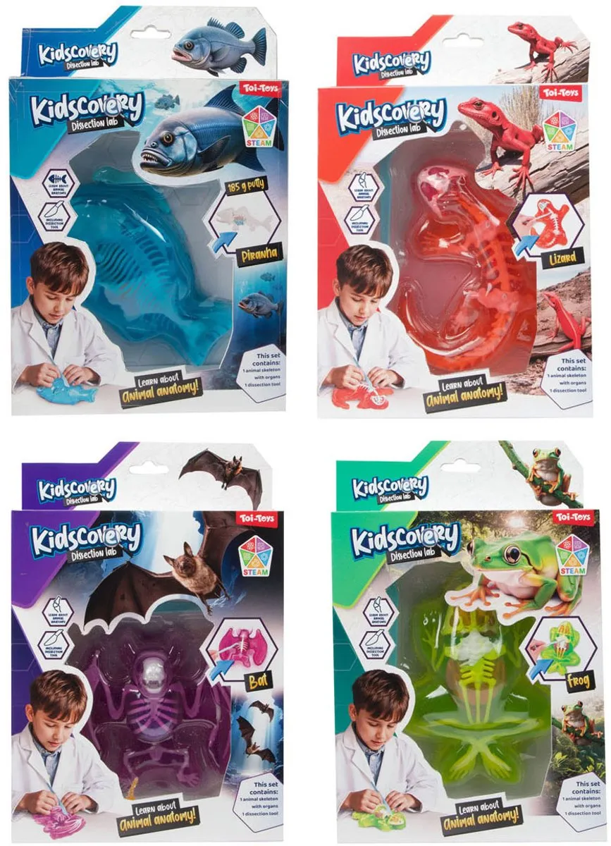 Toi-Toys Kidscovery Slijmskelet Dier