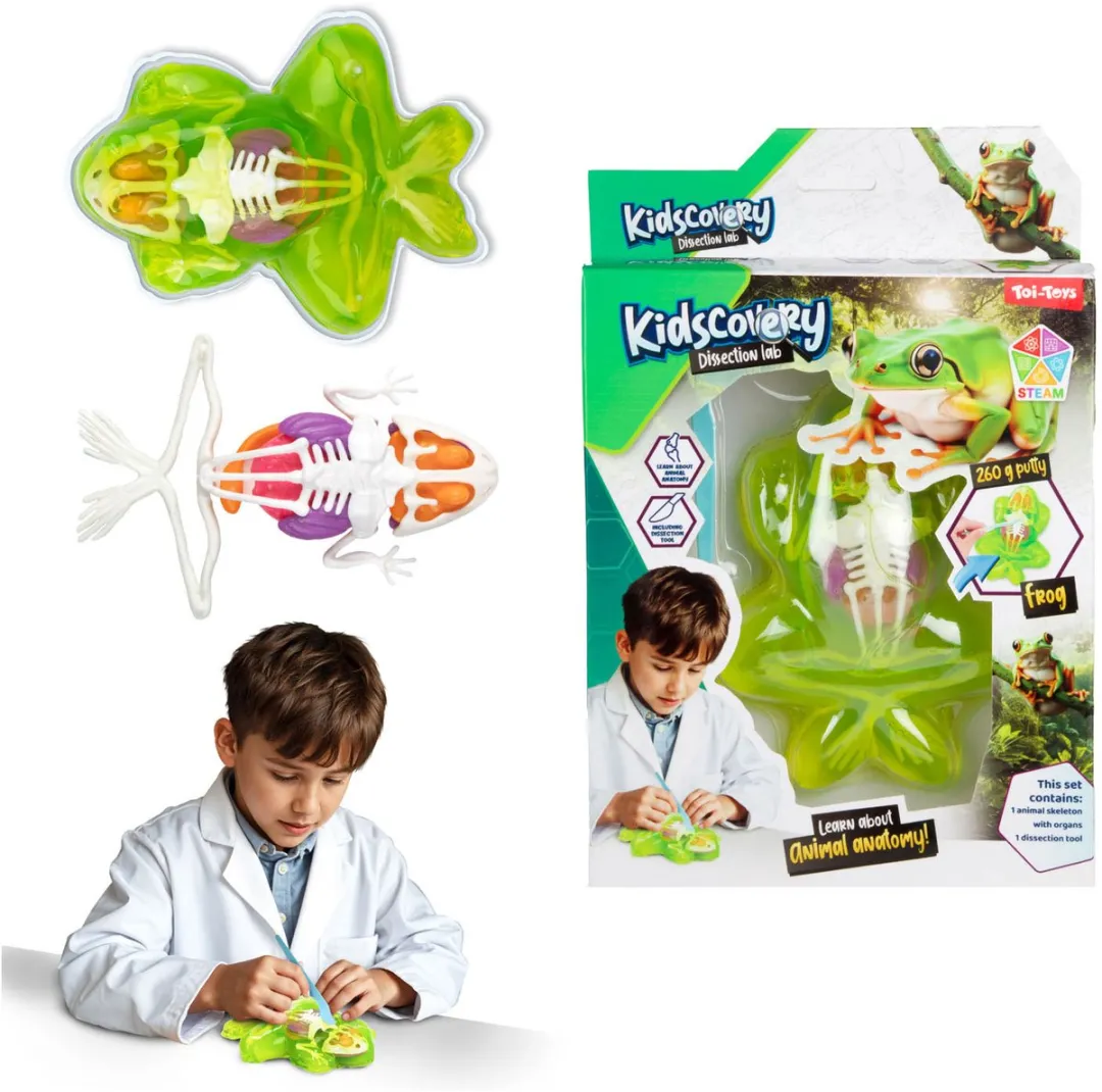 Toi-Toys Kidscovery Slijmskelet Dier - Multi kleuren