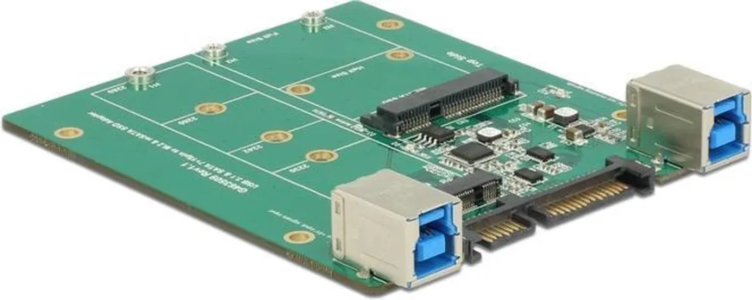 Delock SATA/USB 3.1 Type-B naar M.2/mSATA Converter