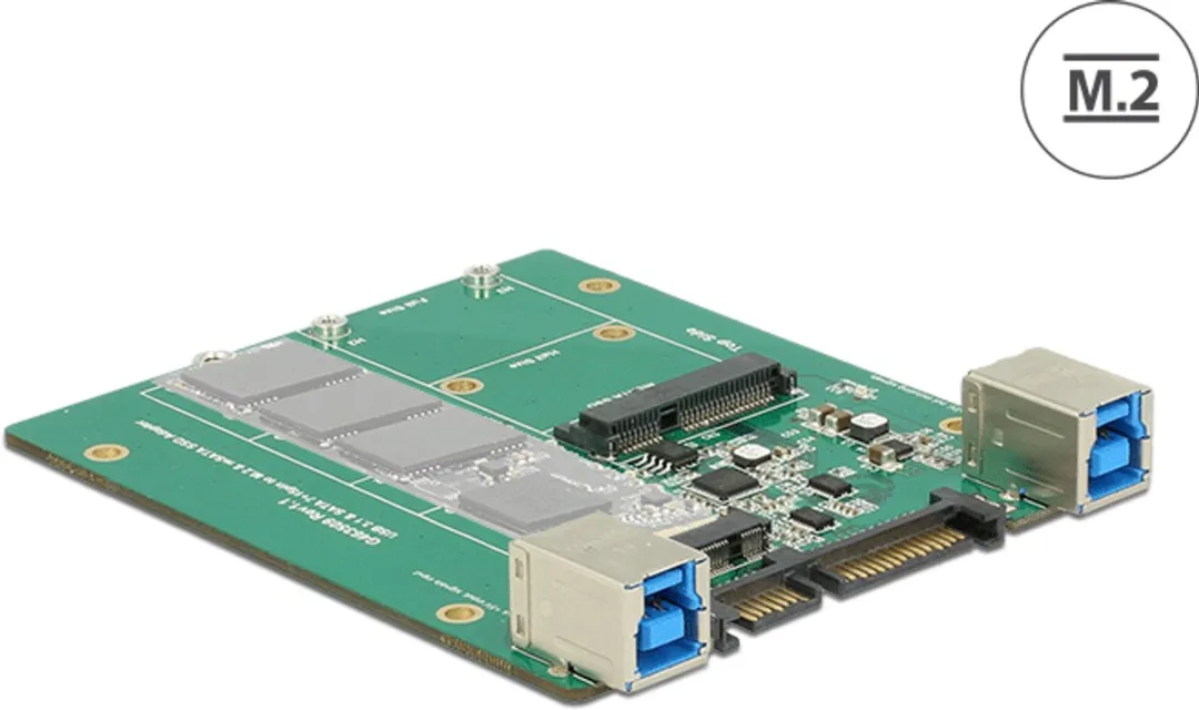 Delock SATA/USB 3.1 Type-B naar M.2/mSATA Converter - Zwart/ Groen