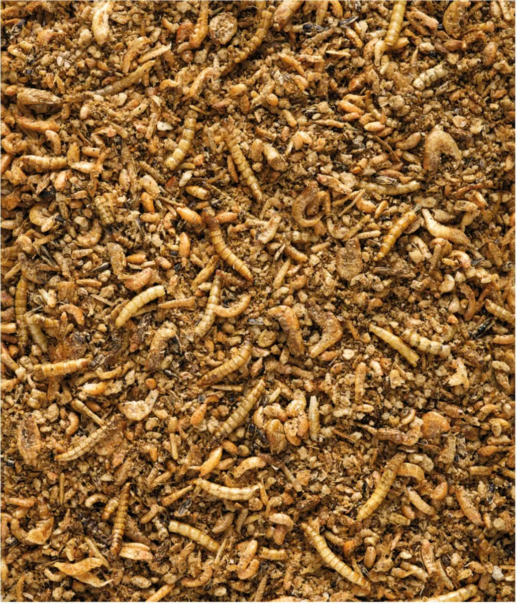 Versele-Laga Nutribird Insect Patee Premium 10kg - afbeelding 2 van 4