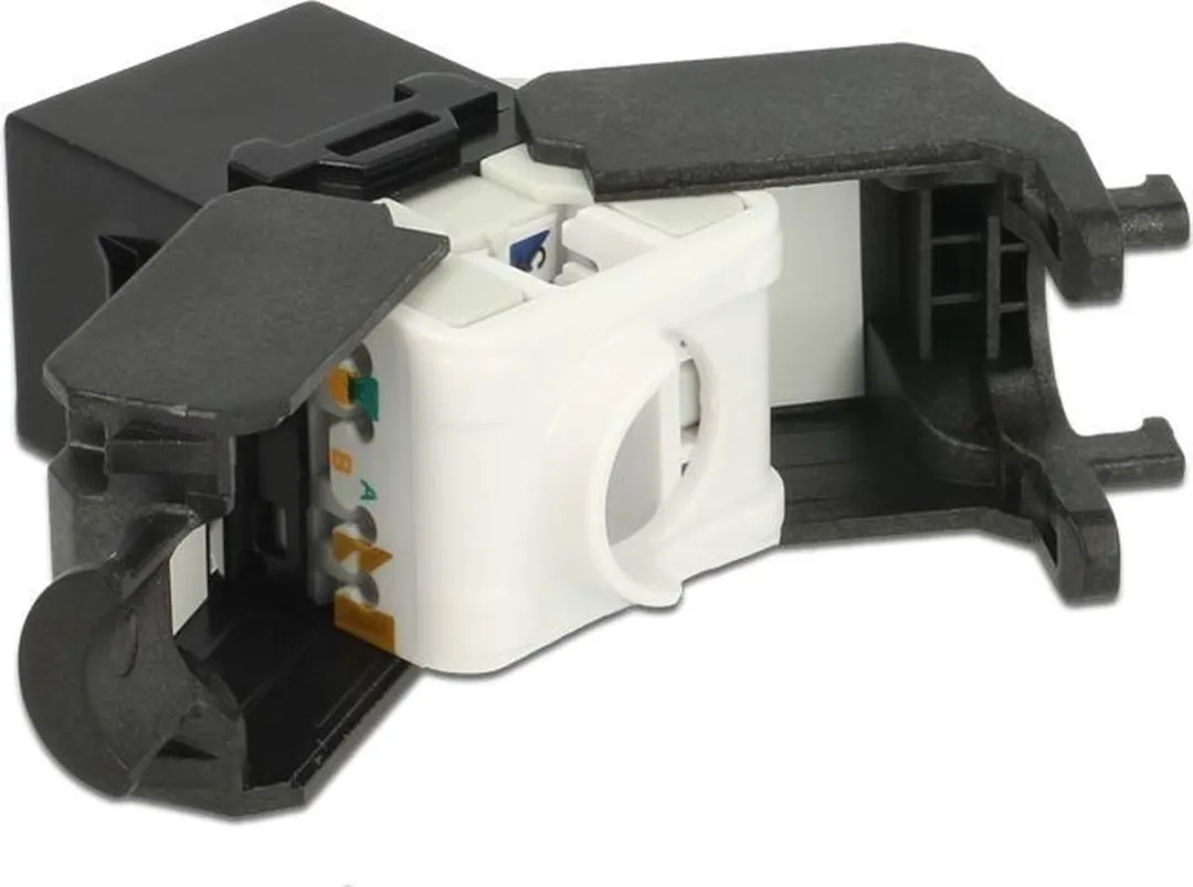 Delock Keystone Module RJ45 LSA Cat.6A - Zwart