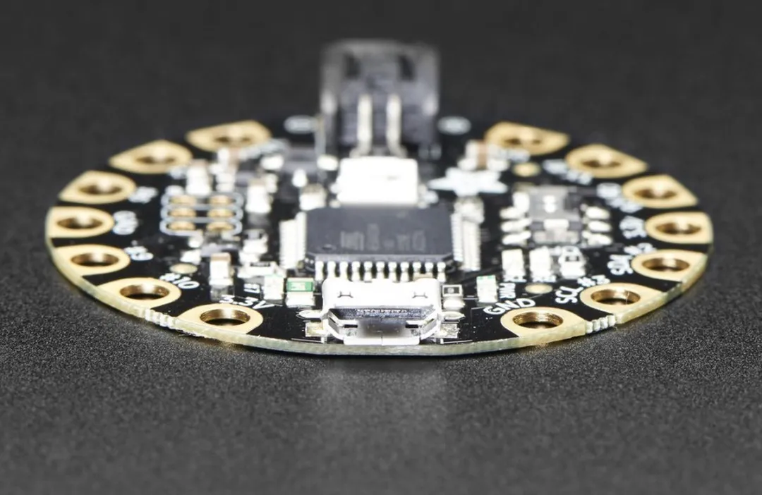 Adafruit FLORA Wearable Platform v3 - Meerkleurig - afbeelding 6 van 6