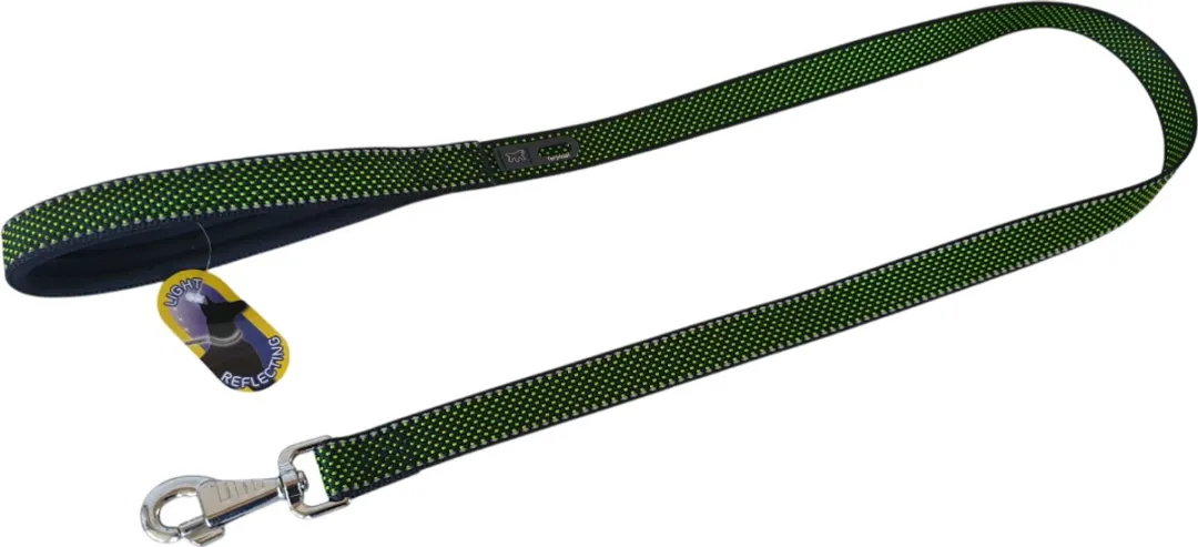 Ferplast Daytona Deluxe Hondenlijn - Groen 120cm L-XL