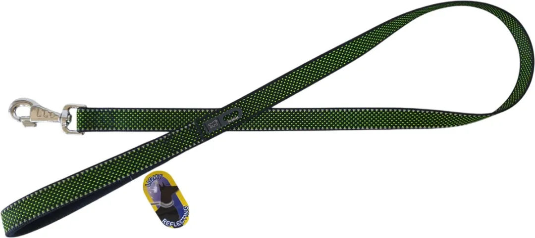 Ferplast Daytona Deluxe Hondenlijn - Groen 120cm L-XL
