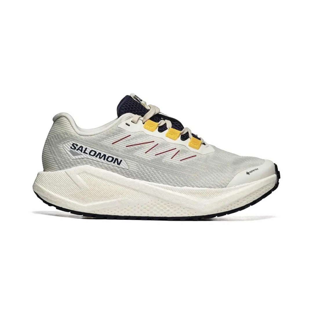 Salomon Aero Blaze 3 Grvl Gtx W L47974100