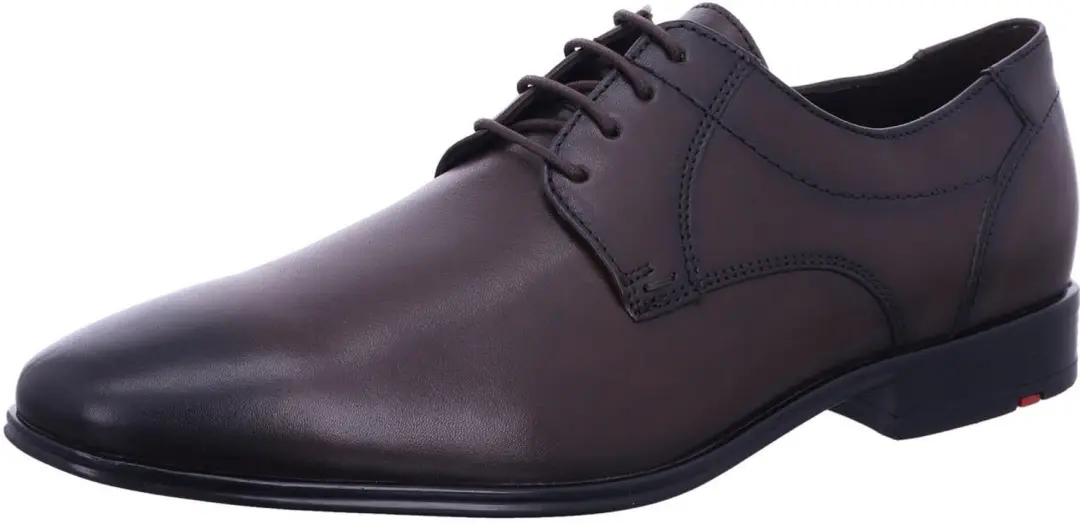 Lloyd 25505 07 heren veterschoenen bruin maat 41