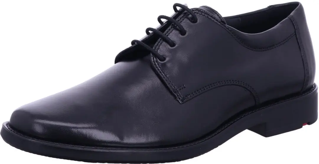 Lloyd 25504 00 heren veterschoenen zwart maat 39