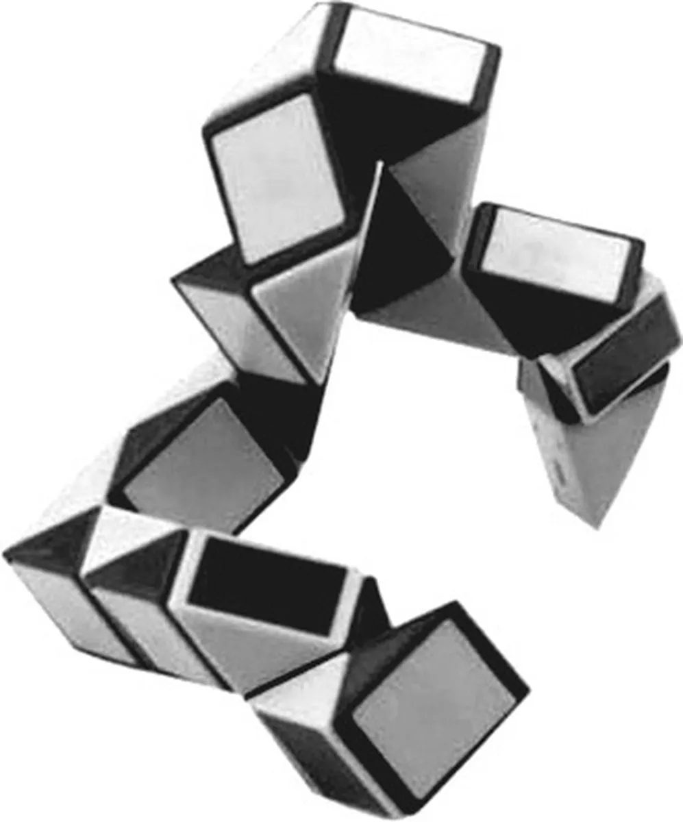 Johntoy Puzzel Magische Slang 25036 - Zwart/wit