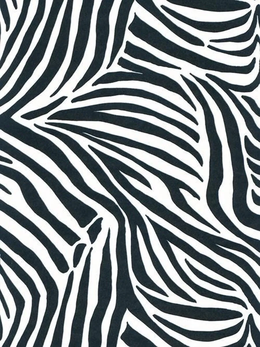 Clairefontaine Décopatch Papier Zebra nr.429
