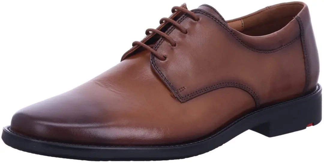Lloyd 25504 03 heren veterschoenen bruin maat 44