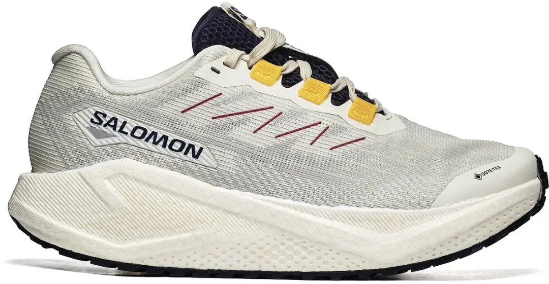 Salomon Aero Blaze 3 GRVL GTX W Dames Schoenen - Beige - afbeelding 6 van 6