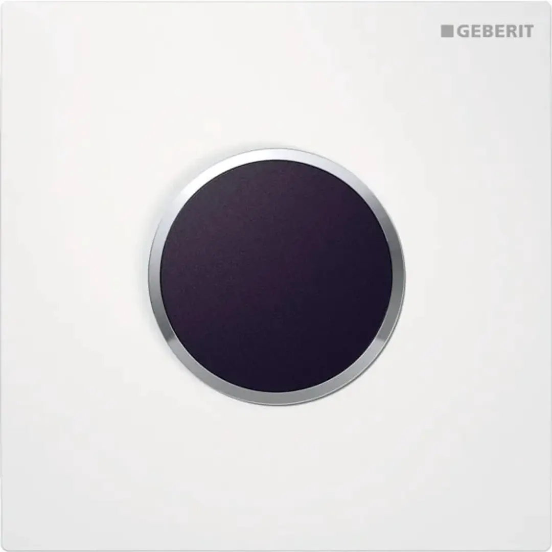 Geberit type 10 afdekplaat, rond: plaat: alpinewit / glanzend, designring: chroo