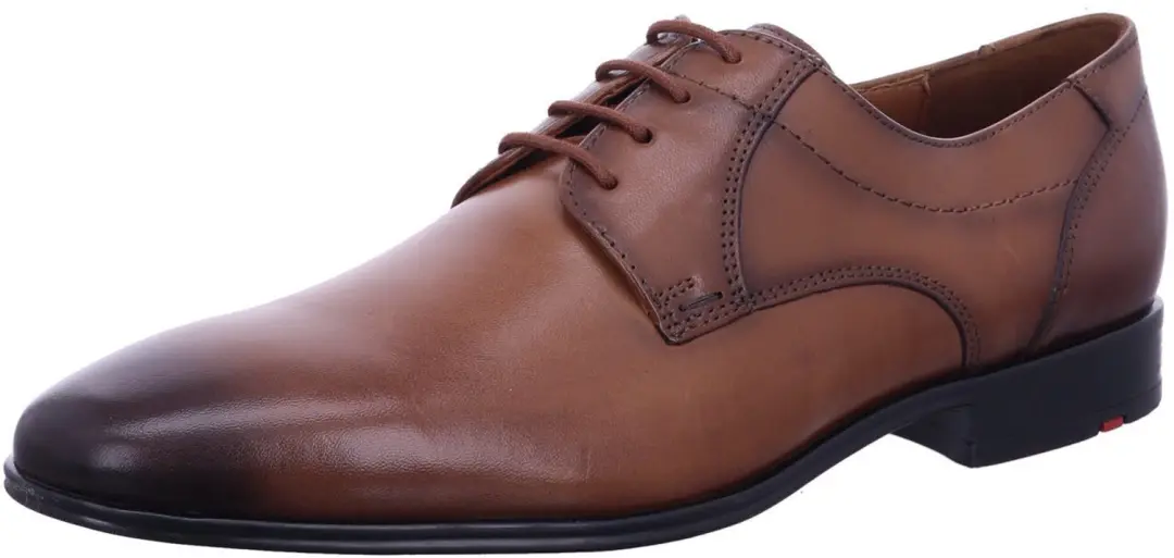 Lloyd 25505 03 heren veterschoenen bruin maat 44