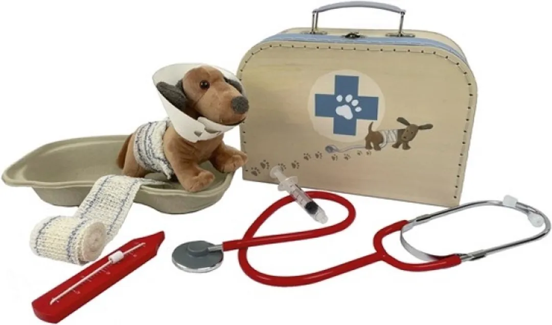 Egmont Toys Dierenartskoffer