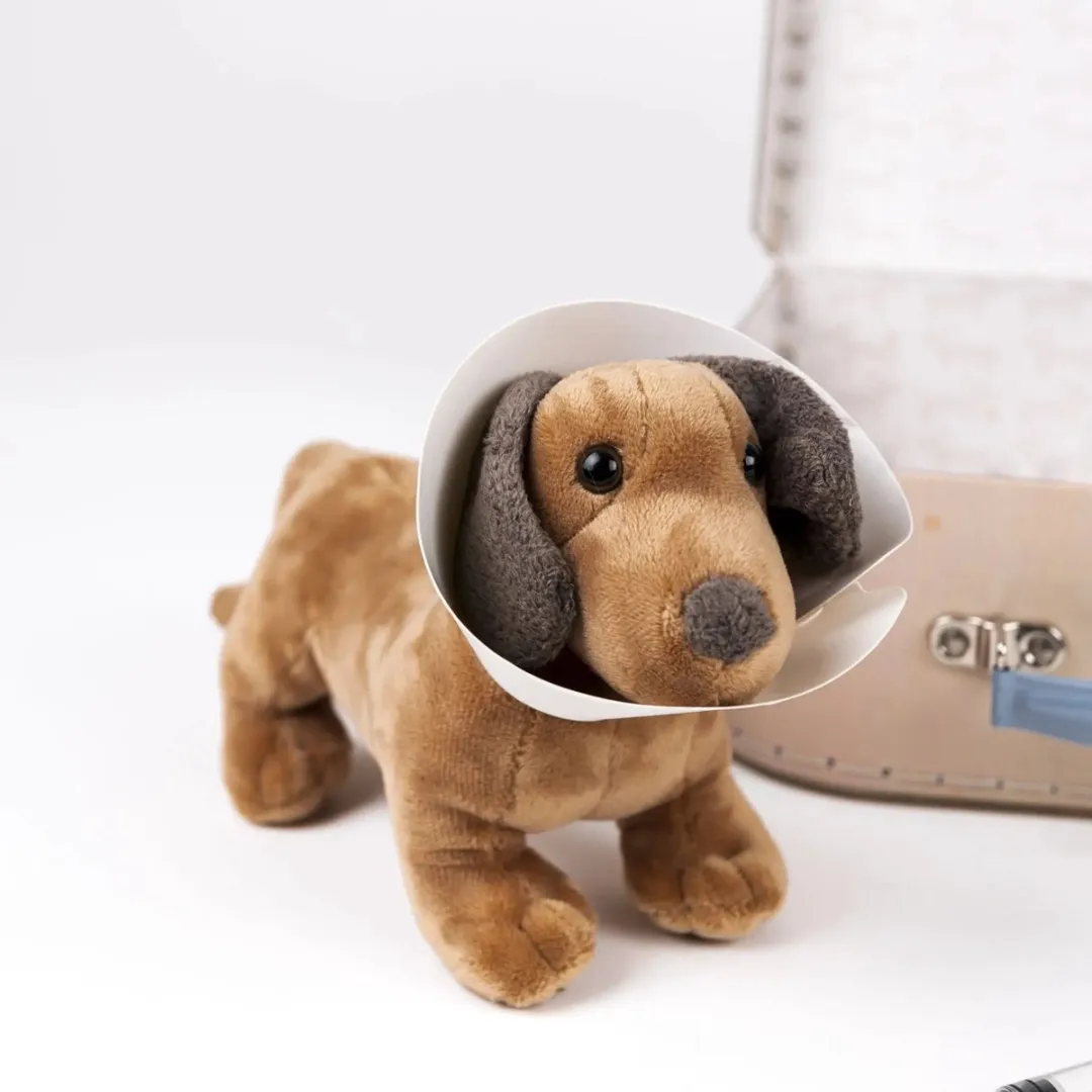 Egmont Toys Dierenartskoffer - Meerkleurig - afbeelding 5 van 6