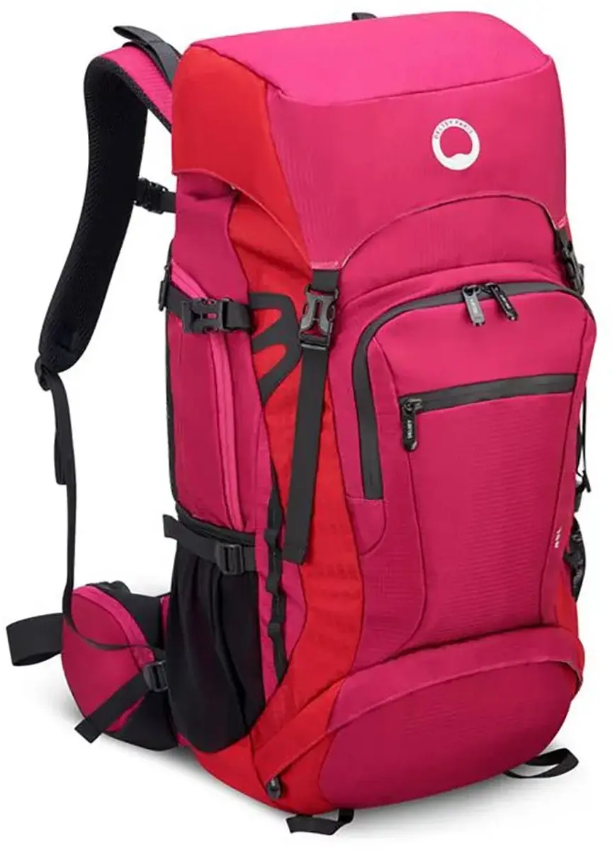 DELSEY Paris Nomade Rugzak - Paonie Paars - afbeelding 2 van 6