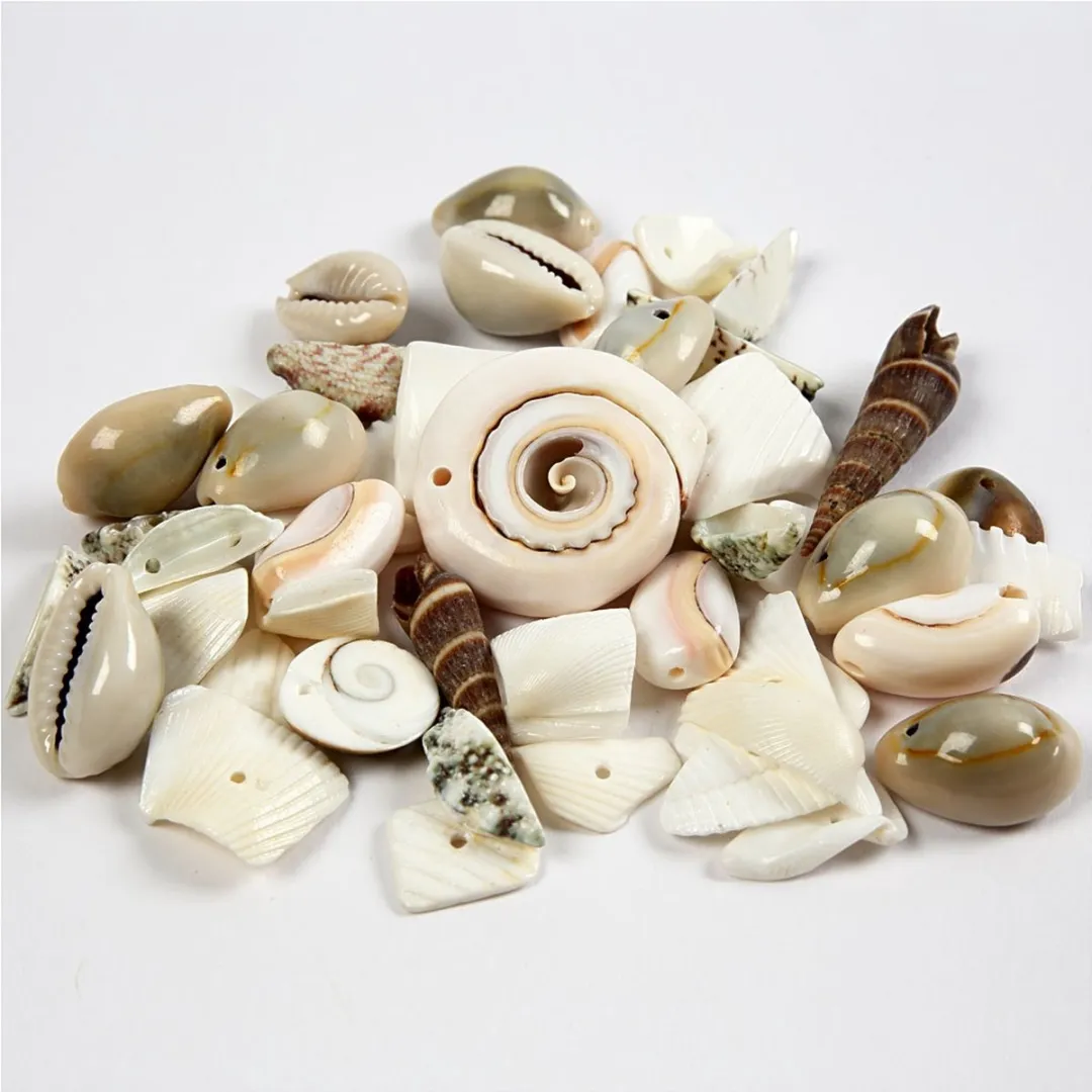 Creativ Company Strand Schelpen 9-40mm