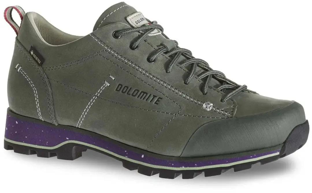 Dolomite Cinquantaquattro Low Fg Evo Gore-tex® Wandelschoenen Groen EU 40 2/3 V