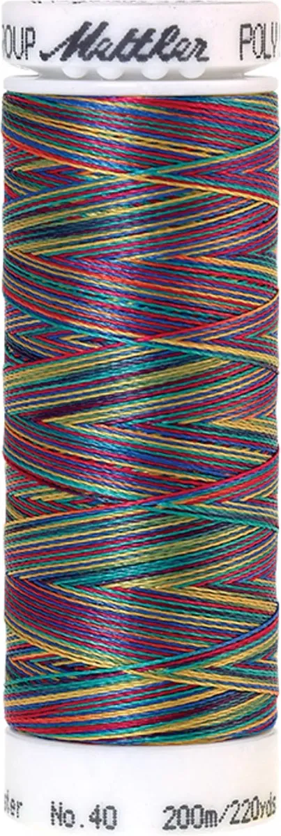 Amann Mettler Poly Multi Borduurgaren 9916 - 200m - Multicolor