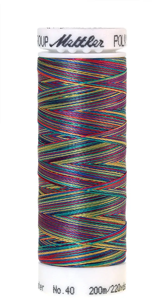 Amann Mettler Poly Multi Borduurgaren 9916 - 200m - Multicolor