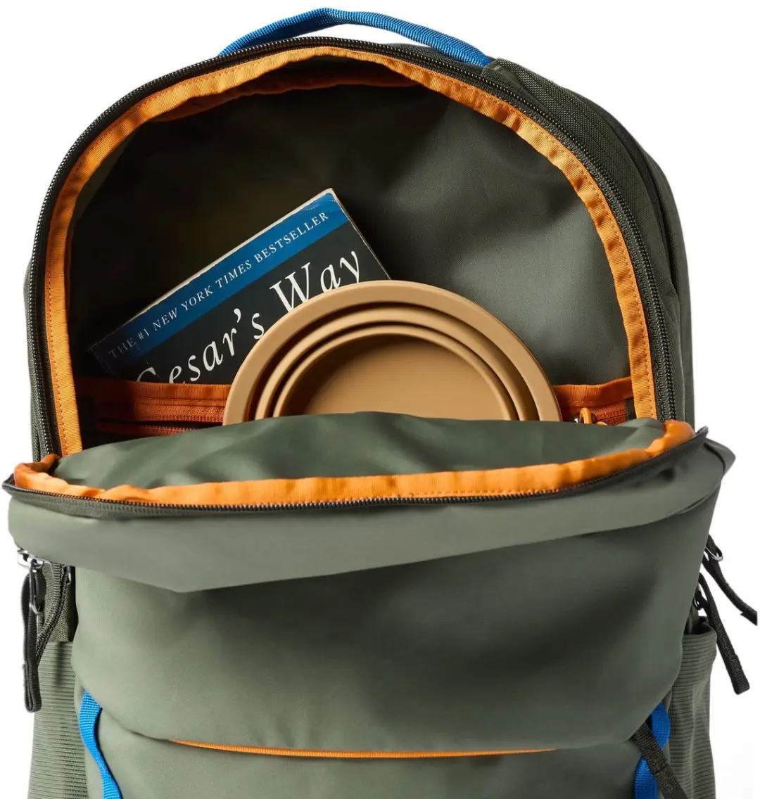 Cotopaxi Allpa 26L Daypack - Rugzak - afbeelding 5 van 5