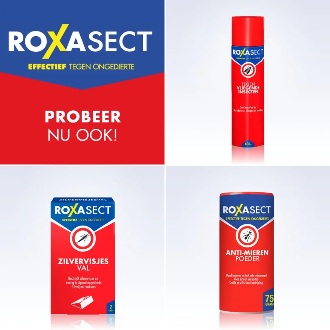 Roxasect Spuitbus Tegen Kruipende Insecten en Wespen - 400ml - afbeelding 4 van 6