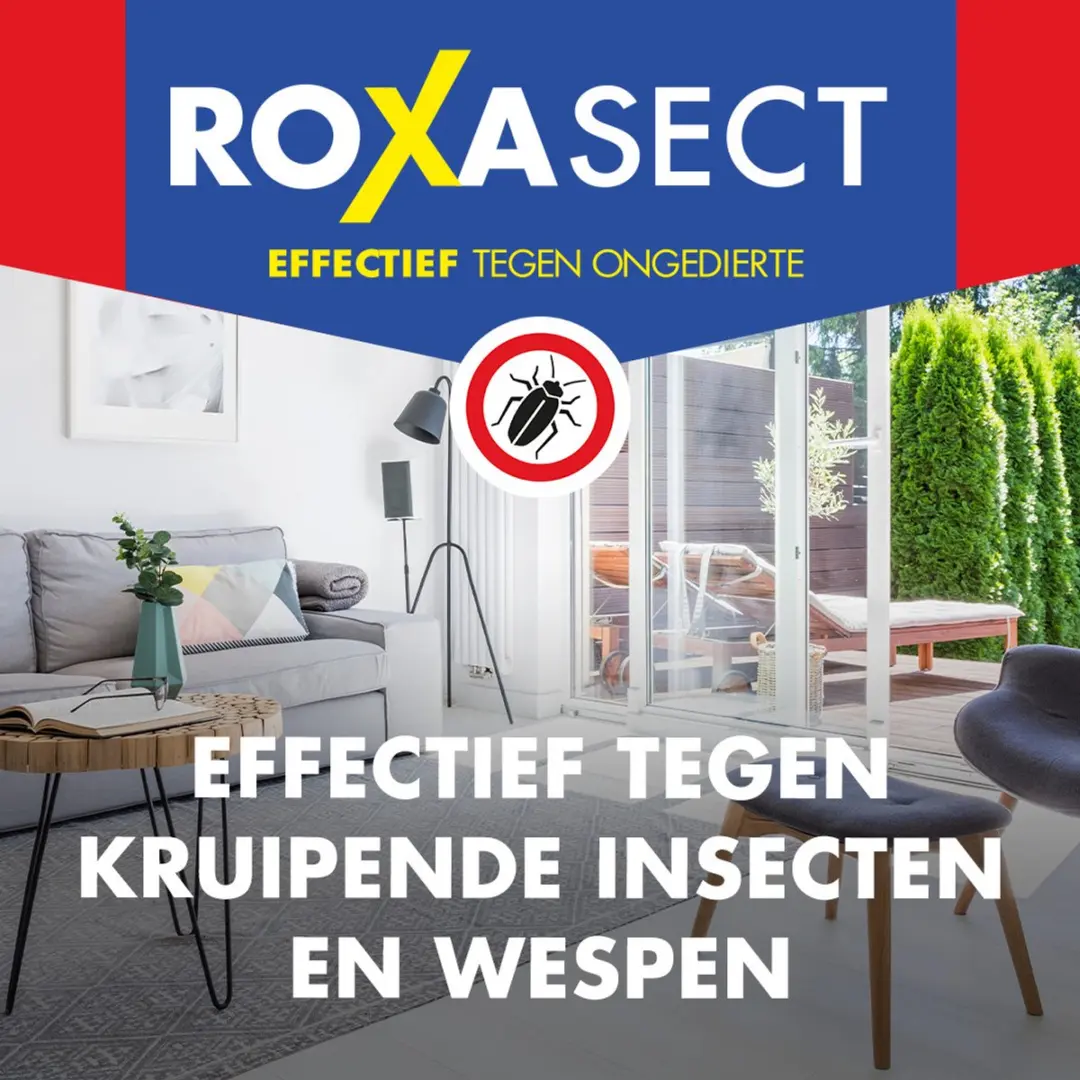 Roxasect Spuitbus Tegen Kruipende Insecten en Wespen - 400ml - afbeelding 6 van 6