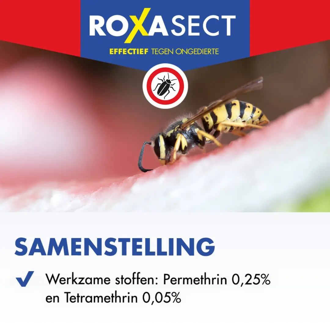 Roxasect Spuitbus Tegen Kruipende Insecten en Wespen - 400ml - afbeelding 5 van 6