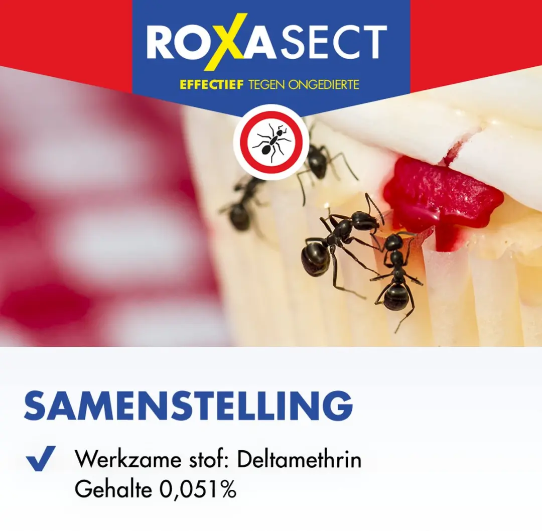 Roxasect Mierenpoeder 75g - afbeelding 6 van 6
