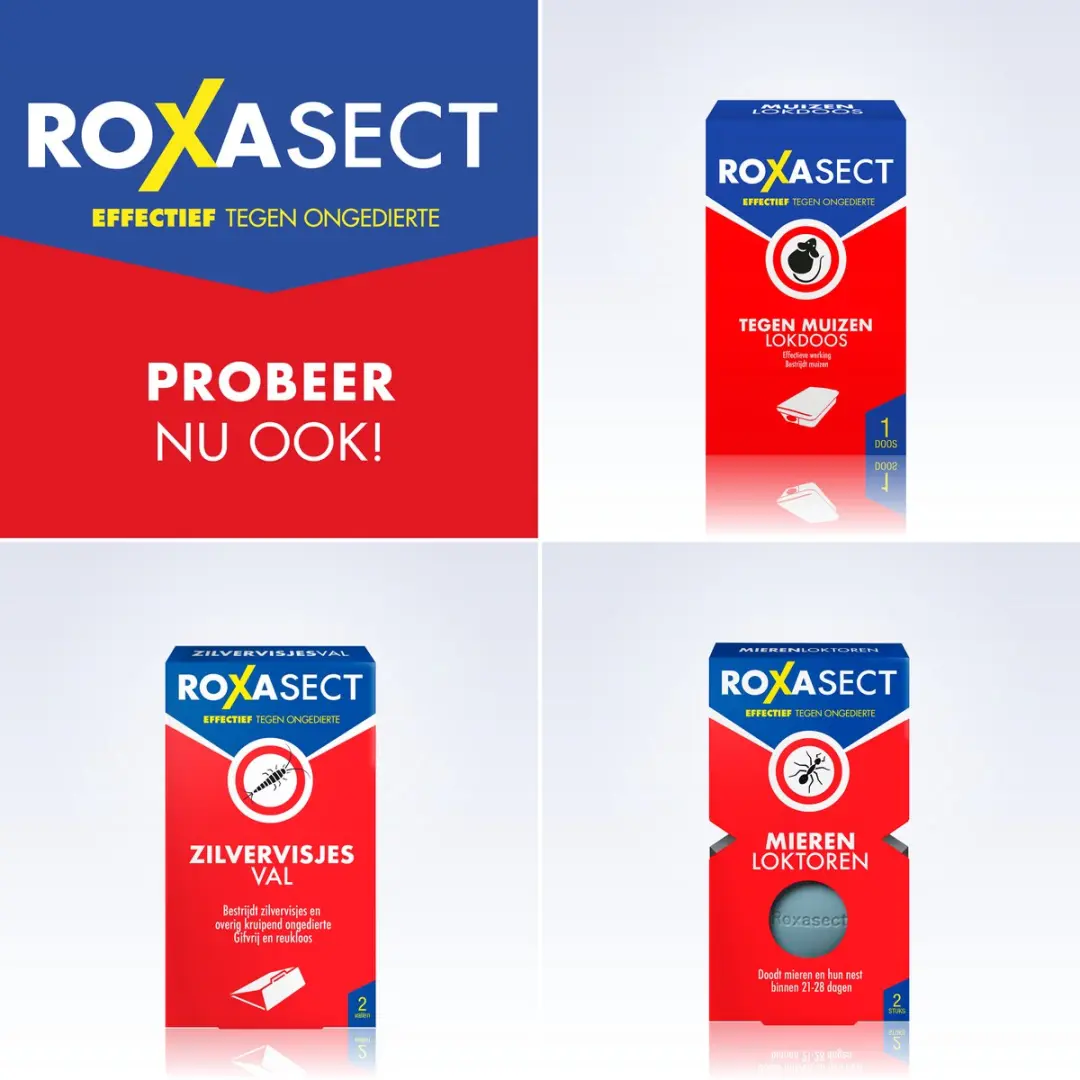 Roxasect Mierenpoeder 75g - afbeelding 2 van 6