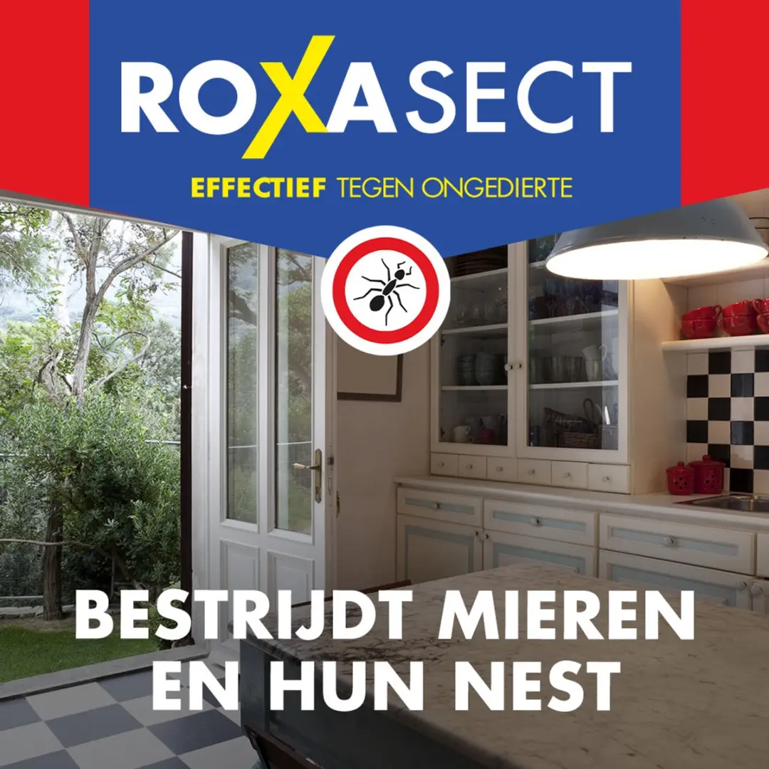 Roxasect Mierenloktoren - 2 stuks - afbeelding 6 van 6