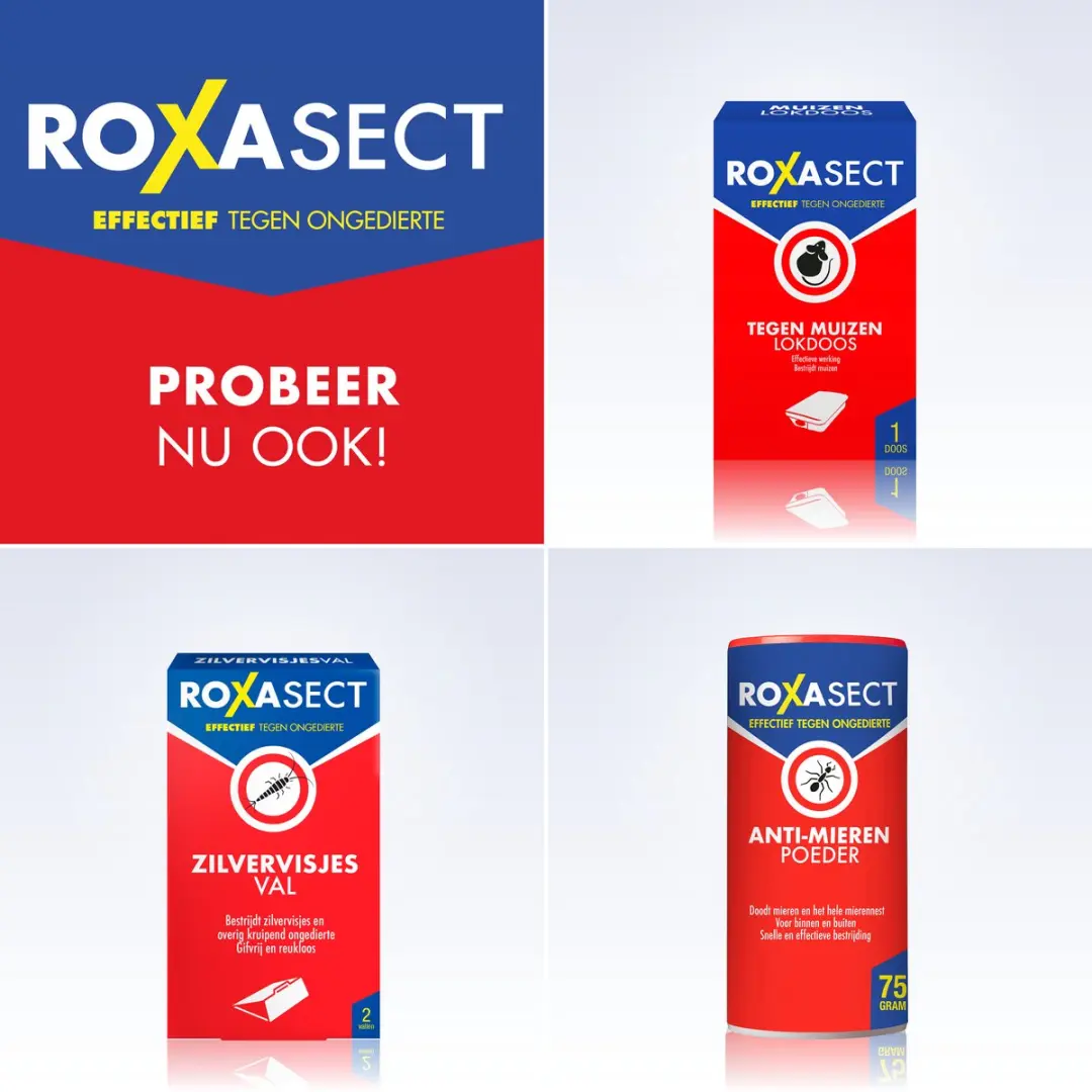 Roxasect Mierenloktoren - 2 stuks - afbeelding 2 van 6