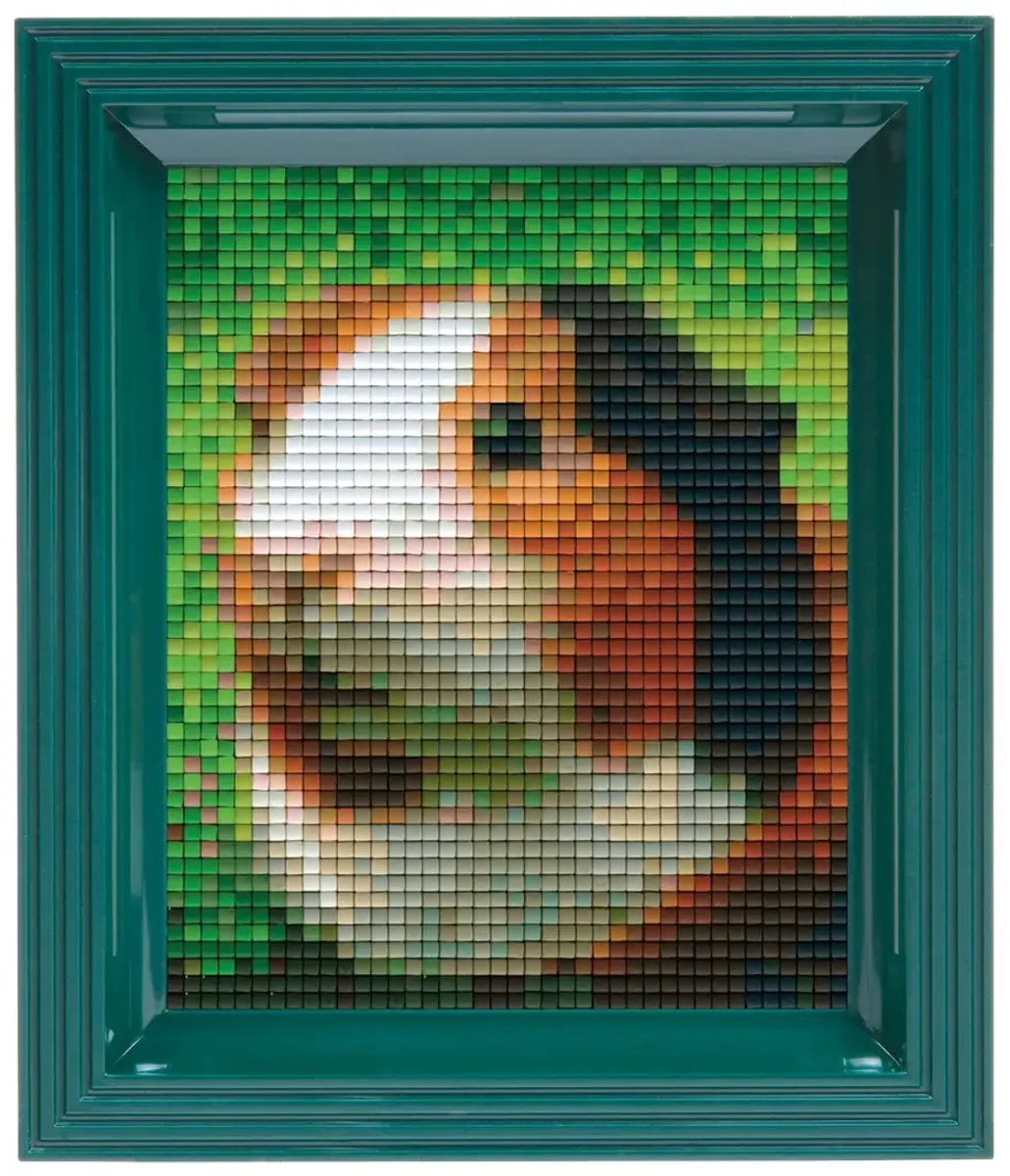 Pixelhobby Geschenkverpakking Cavia 31325