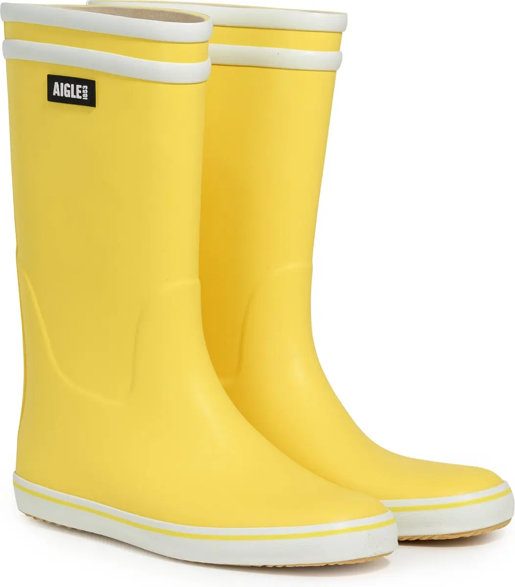 Aigle Malouine 2