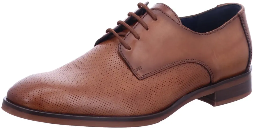 Lloyd 14130 15 heren veterschoenen bruin maat 41