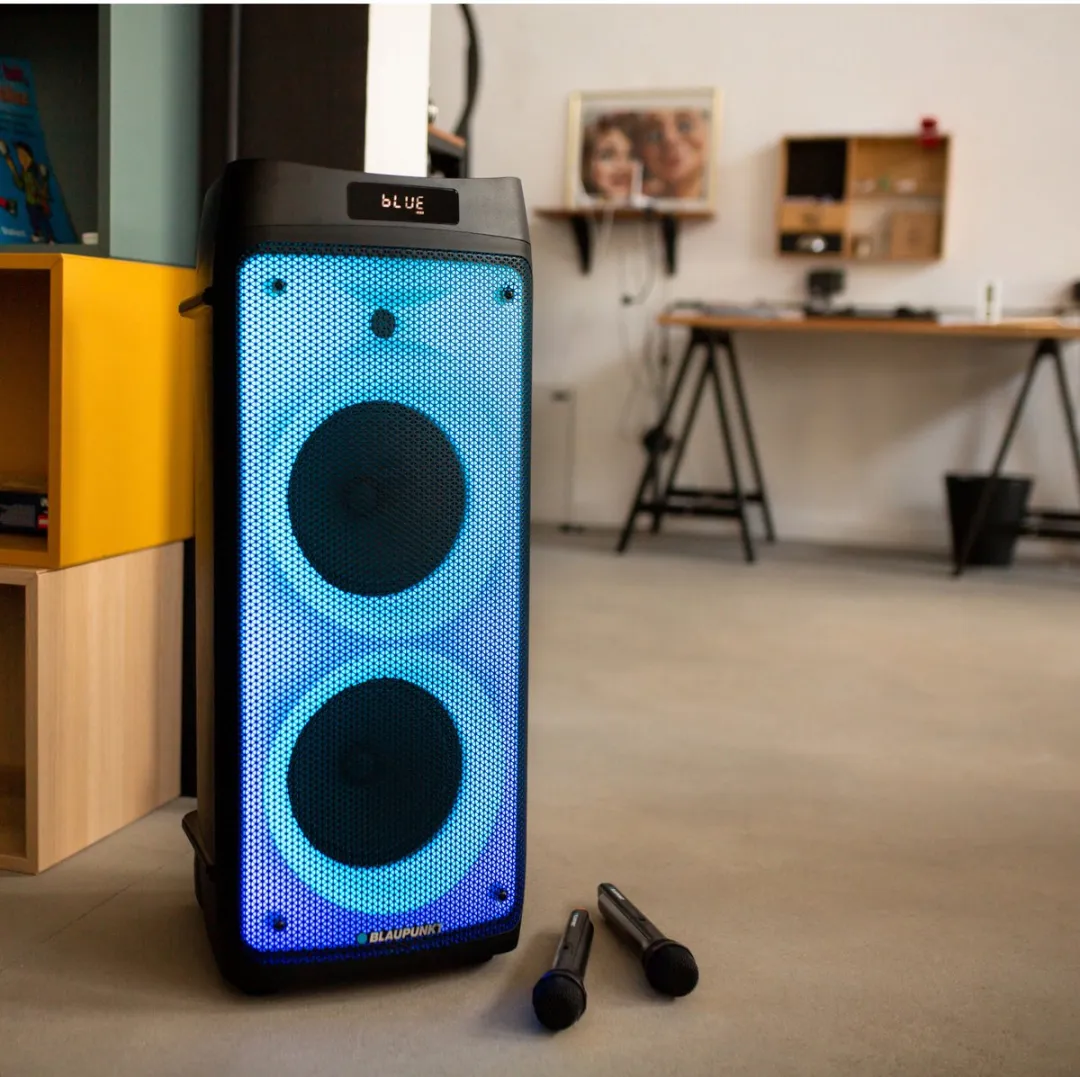 Blaupunkt PB08DB Draagbare Speaker 700W - Zwart