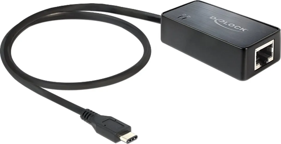 Delock USB-C naar RJ45 Gigabit LAN Adapter