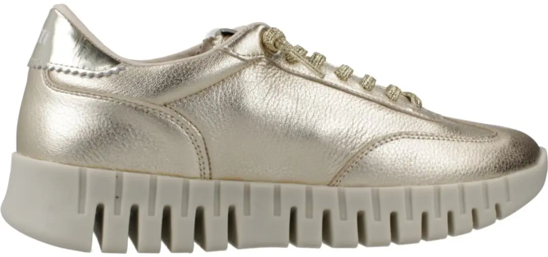 CETTI C1381SRA V26 Goud 36 EU