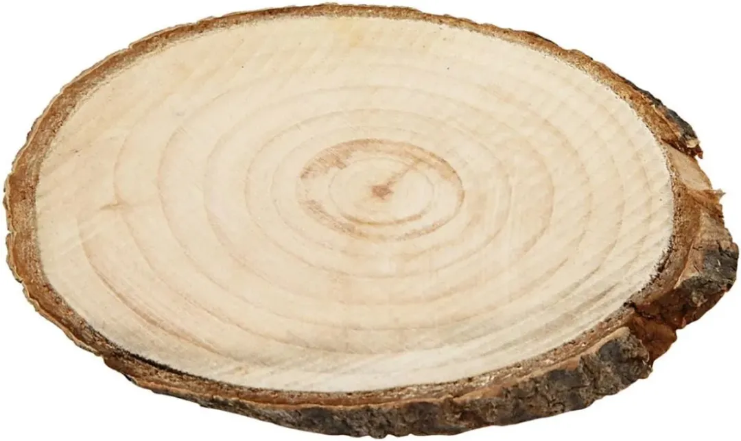 Creativ Company Houten Schijven 12 Stuks