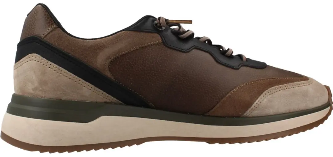 CETTI C1429 INV27 DEPORTIVO ANTE NAPA Bruin 46 EU