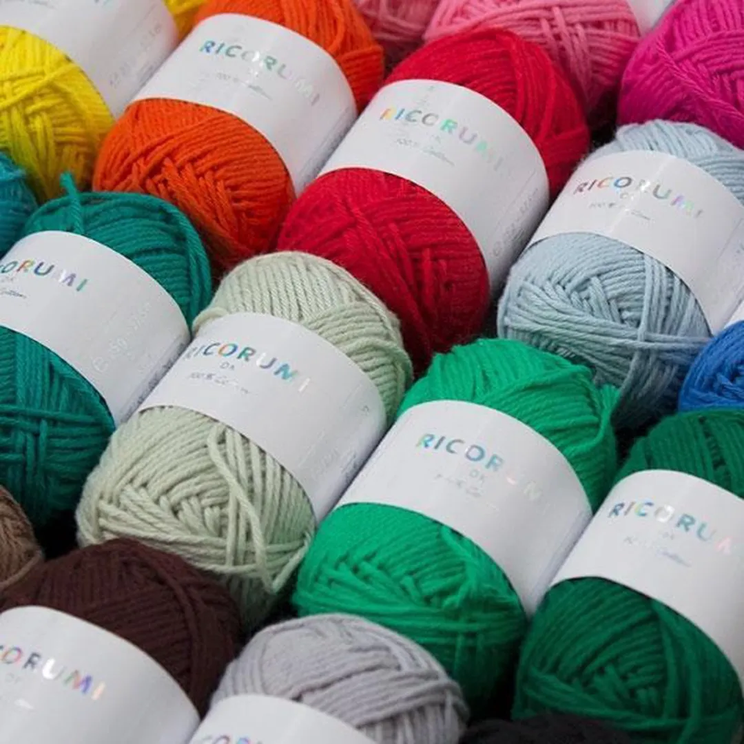 Rico Ricorumi Set 20x25g Basic - 20 Stuks Multi