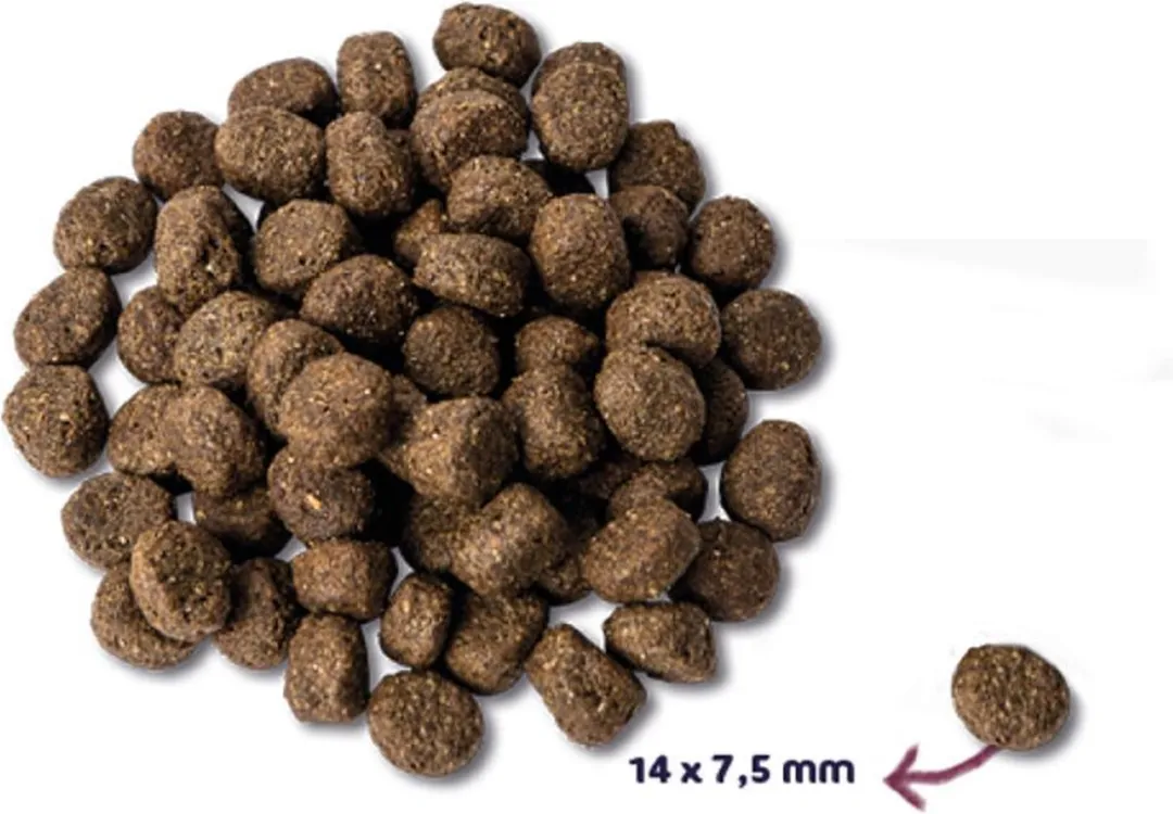 Renske Senior Kalkoen Hondenvoer - 4x2kg Graanvrij