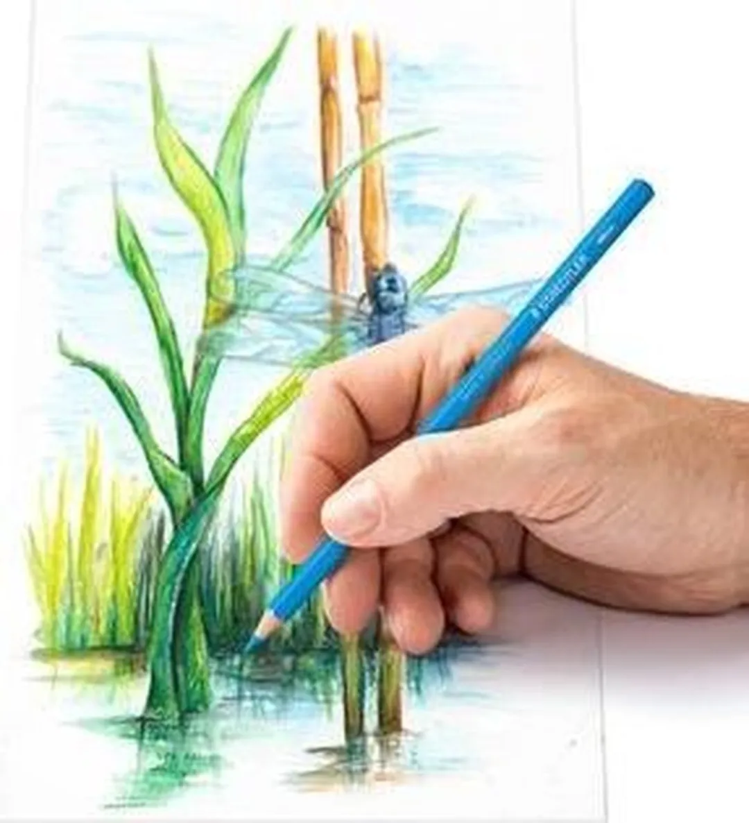 STAEDTLER Design Journey Aquarel Kleurpotloden 24 Stuks - Metal Etui