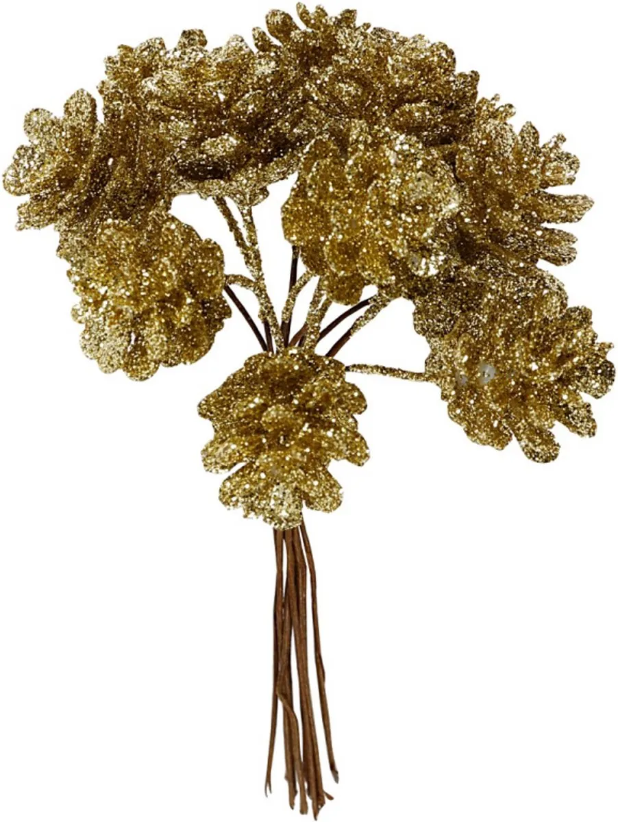 Creativ Company Kunst Denneappels - 12 Stuks - Goud