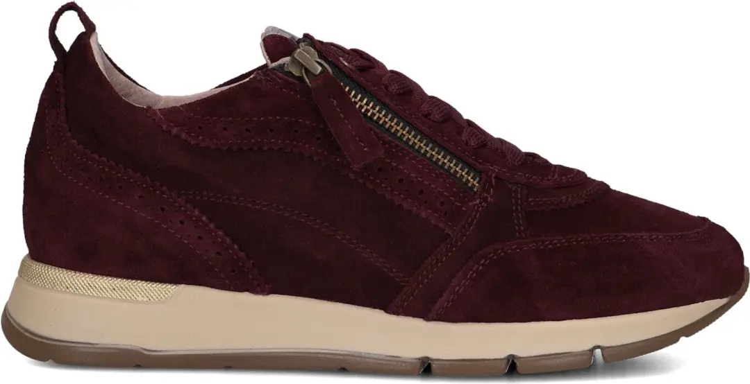 Dl Sport 7116 Sneakers