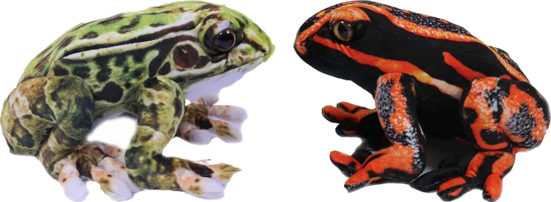 PIA Soft Toys Giftige Boomkikkers Knuffels