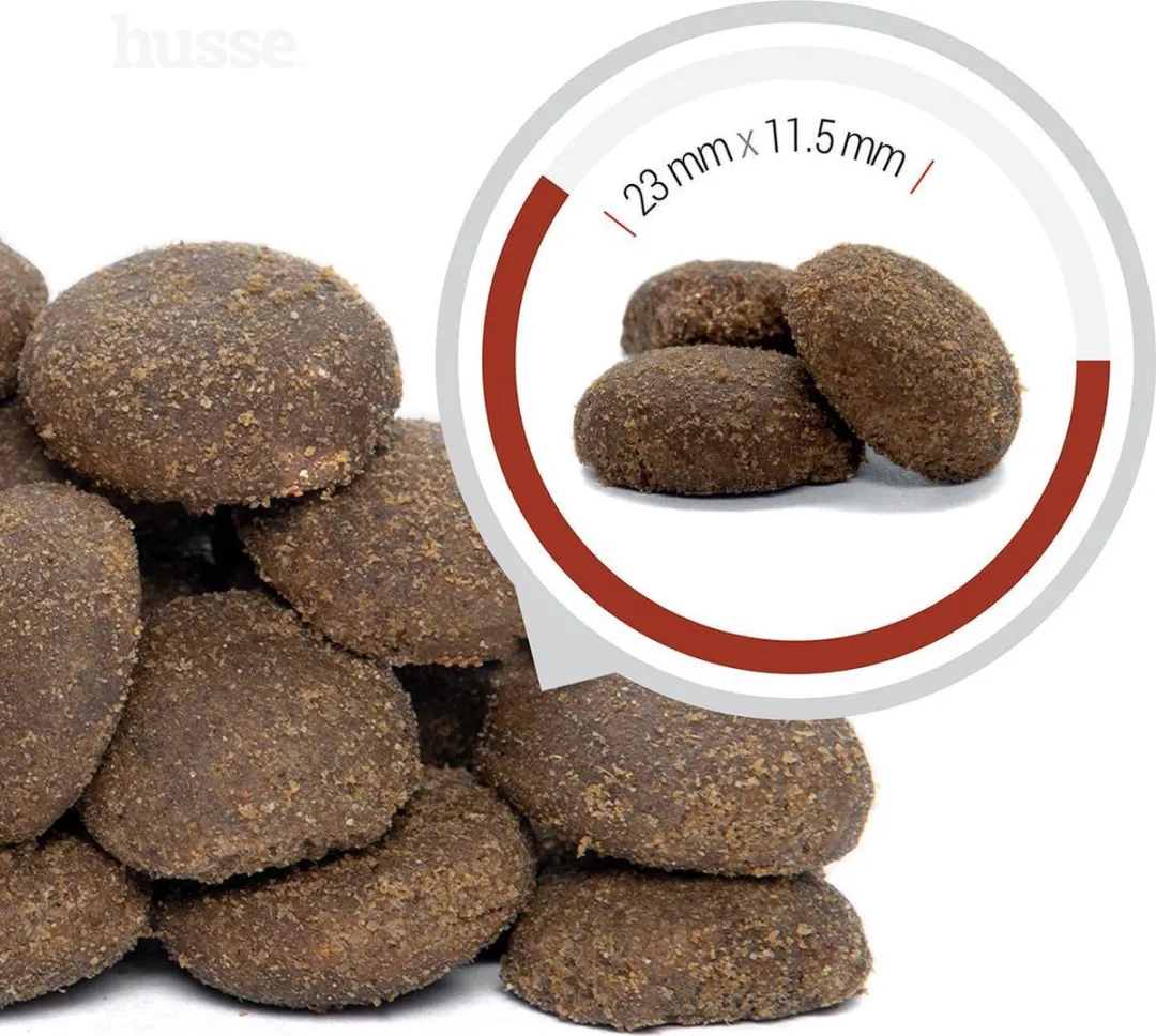 Husse Lam en Rijst Giant - Hypoallergeen Hondenvoer, Hondenvoeding Droog, Hondenbrokken Hypoallergenic - 2 x 12,5 kg