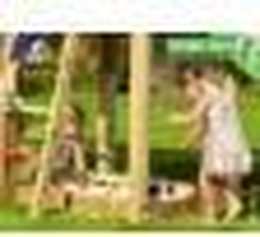 Intergard Suzy Houten Speeltoestel - 121x350x297cm Groen
