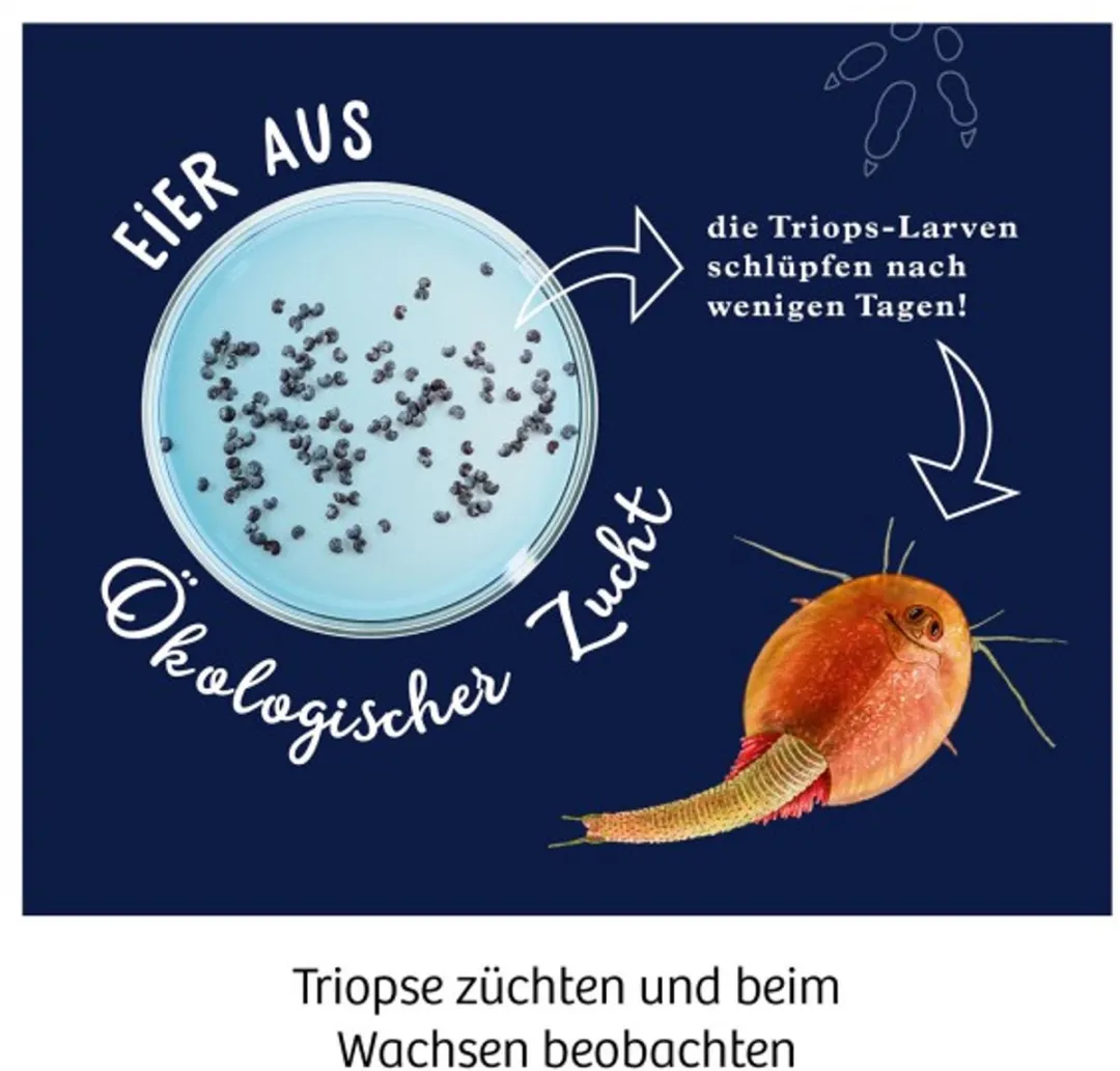 Kosmos Fun Science Triops Experimenteerdoos 637231